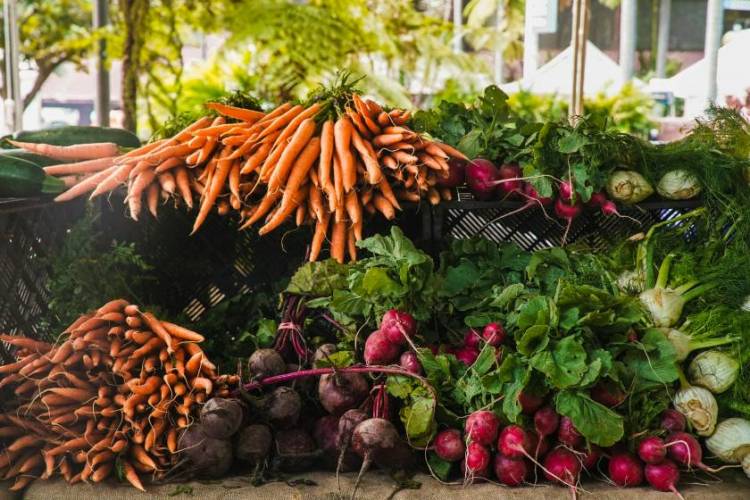 Vegetables at a harvest festival